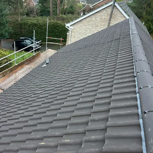 Recent roof project