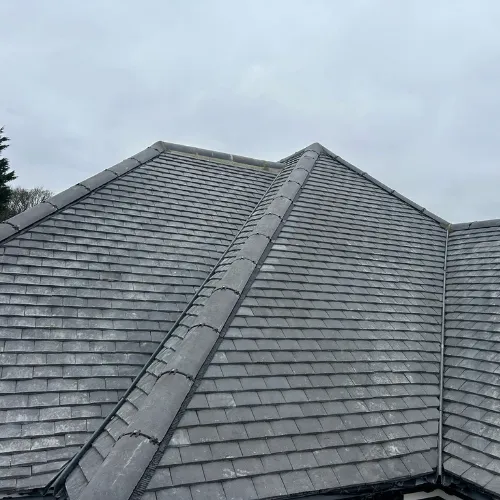 Recent roof project